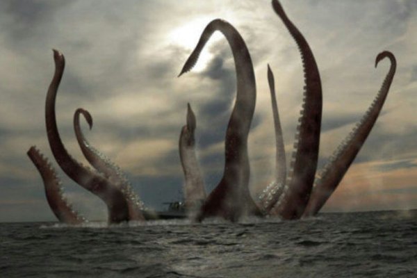 Kraken https