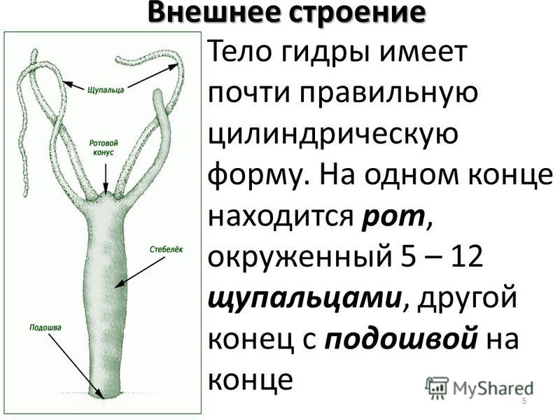 Сайт кракен войти